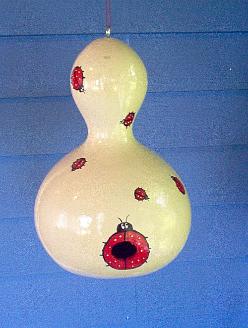 gourd art lady bugs